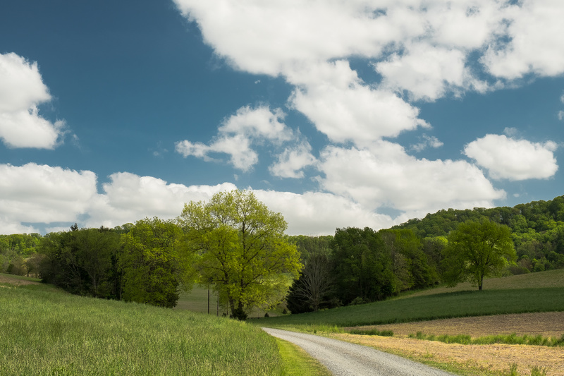  - COLOR LANDSCAPES