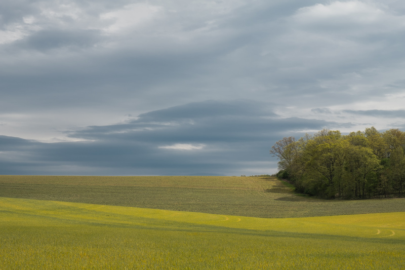  - COLOR LANDSCAPES