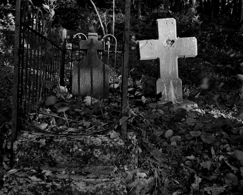 MOMENTARY LIGHT - ABANDONED