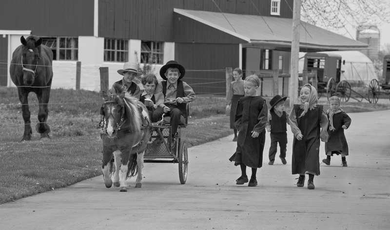 PONY RIDE - THE SIMPLE LIFE