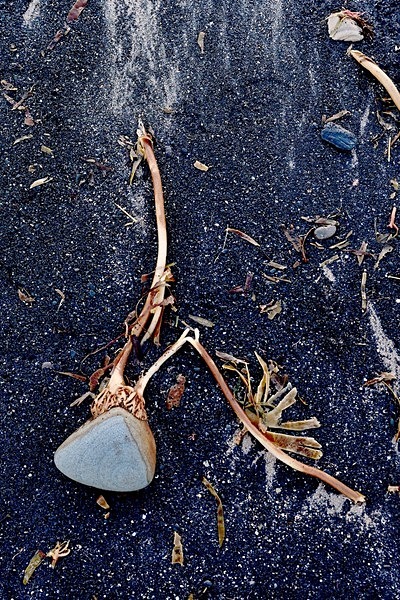 Beach 7 - Brian Morris.