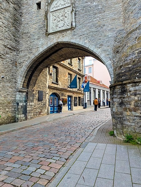 7. - Roseanne Robinson