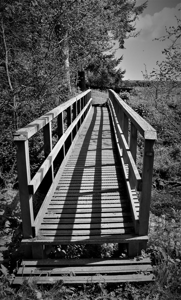 Wood Bridge - Stephen Perry