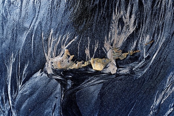 Beach 6 - Brian Morris.