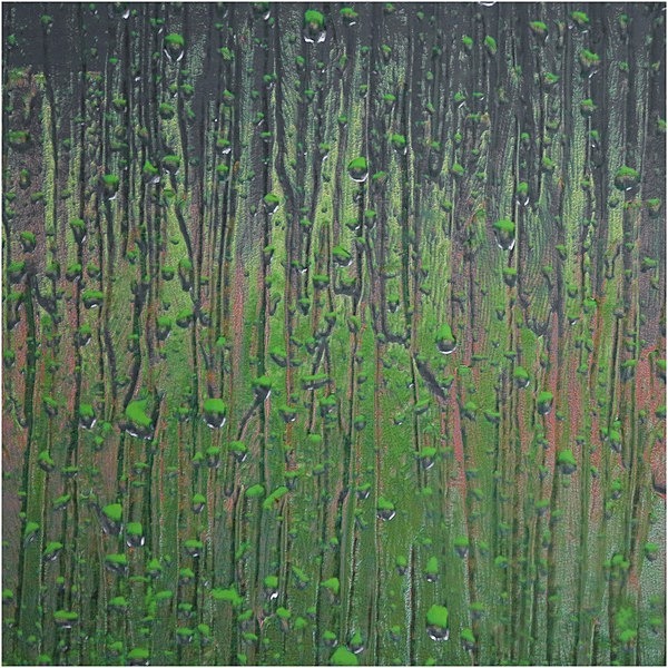 B. - Davy Bolam