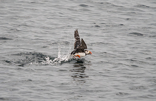 Dinner is on its way - Trevor Langhome