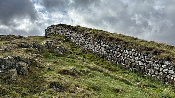 Wall 3 - Martin Goble