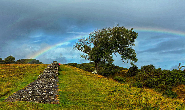 Rainbow - Martin Goble