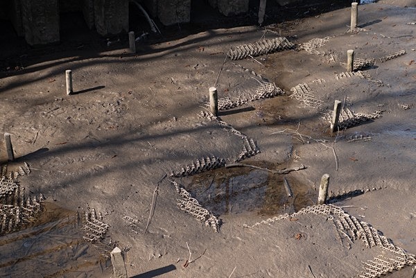 Dunston Staithes - Roseanne Robinson