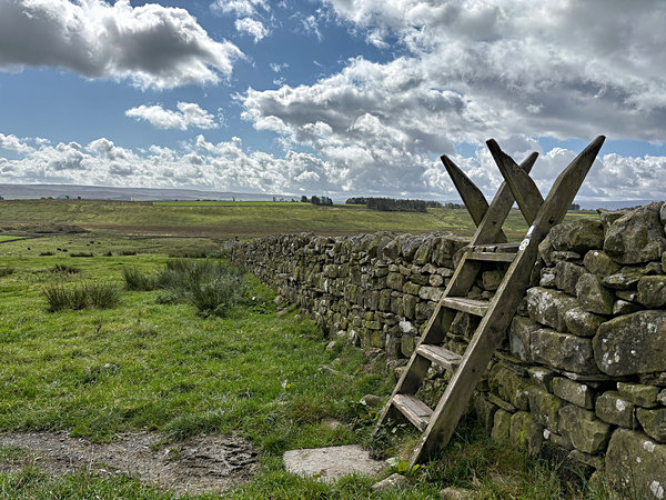 Stile - Martin Goble