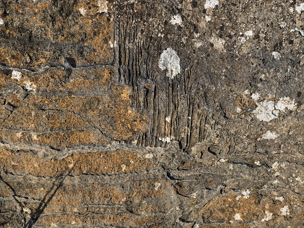 Greenleighton VI Mineralised - Trevor Langhome
