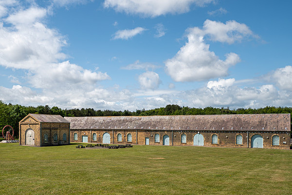 Woodhorn 2 - Roseanne Robinson