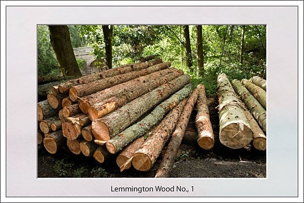5. - Pat Wood