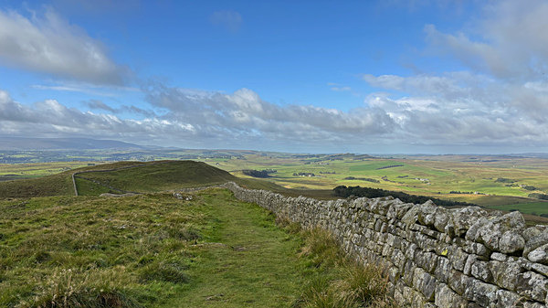 Wall 4 - Martin Goble