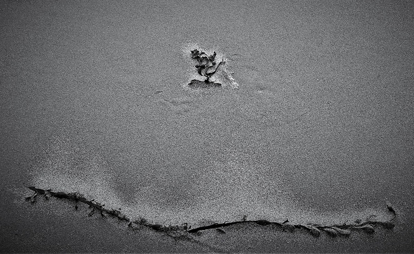 Sand Art 2 - Stephen Perry