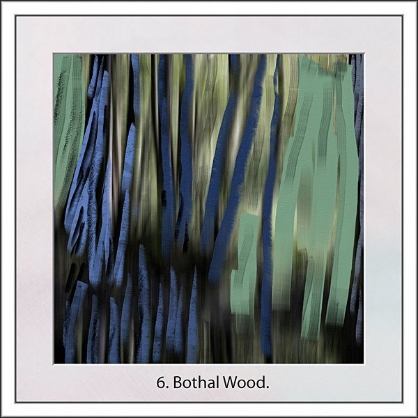 6.Bothal Wood - Peter Downs