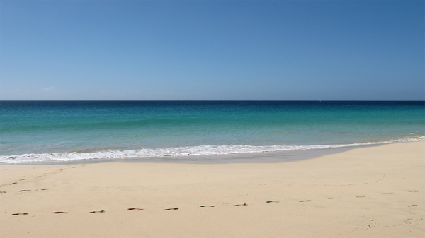 Footprints - Stephanie Robson