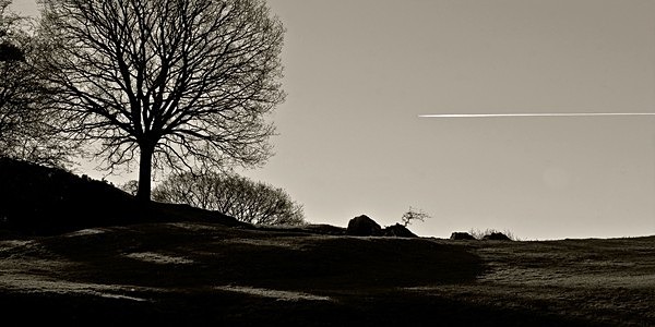 Across the sky - Brian Morris.