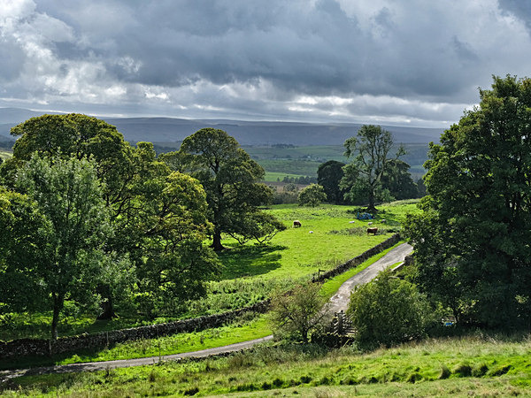 Landscape - Martin Goble