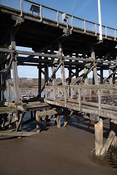 Dunston Staithes - Roseanne Robinson