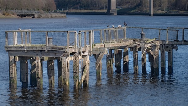 Dunston Staithes - Roseanne Robinson