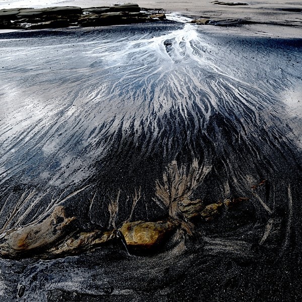 Beach 4 - Brian Morris.