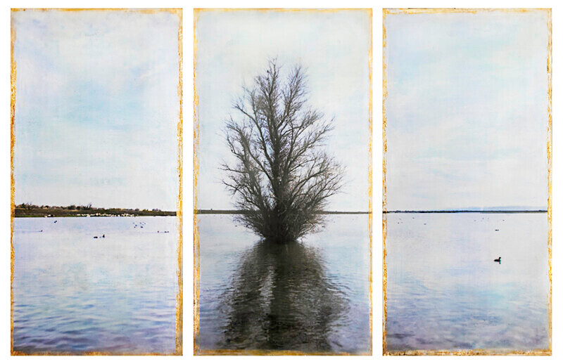 Colusa Wildlife Refuge - At the Edge of the Water