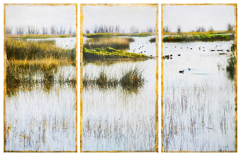Gray Lodge Wildlife Area - At the Edge of the Water