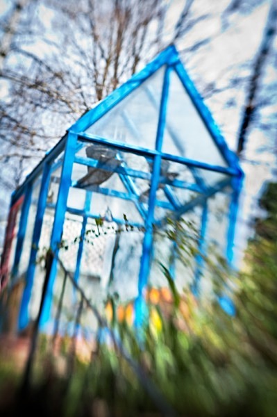 Blue Greenhouse - The Backyard Series