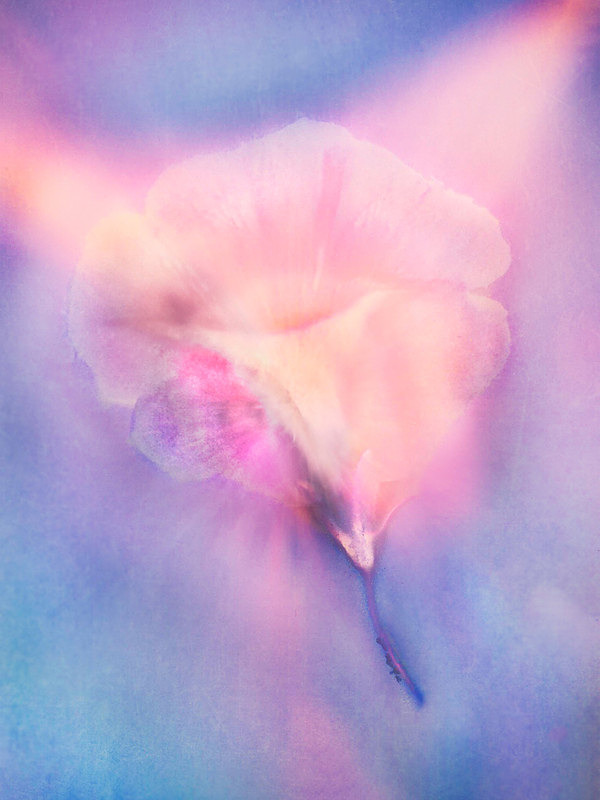  - Afterglow