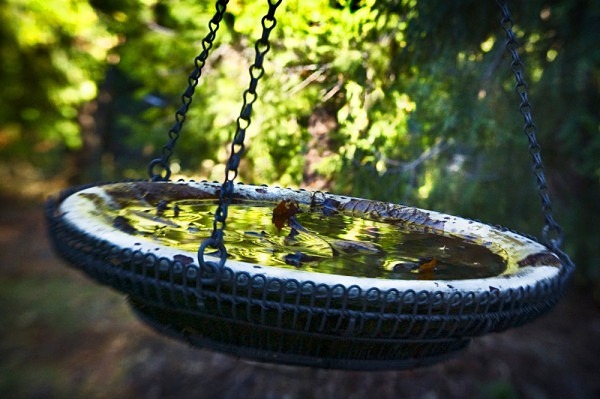 Swinging Water Bowl - The Backyard Series