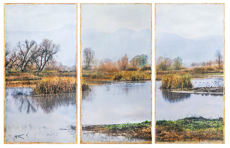 Gray Lodge Wildlife Area - At the Edge of the Water