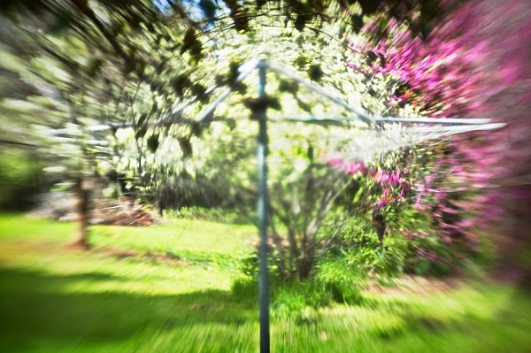 Whirling Clothes Tree - The Backyard Series
