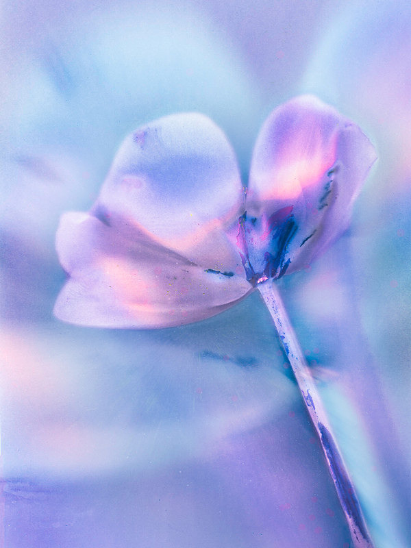  - Afterglow