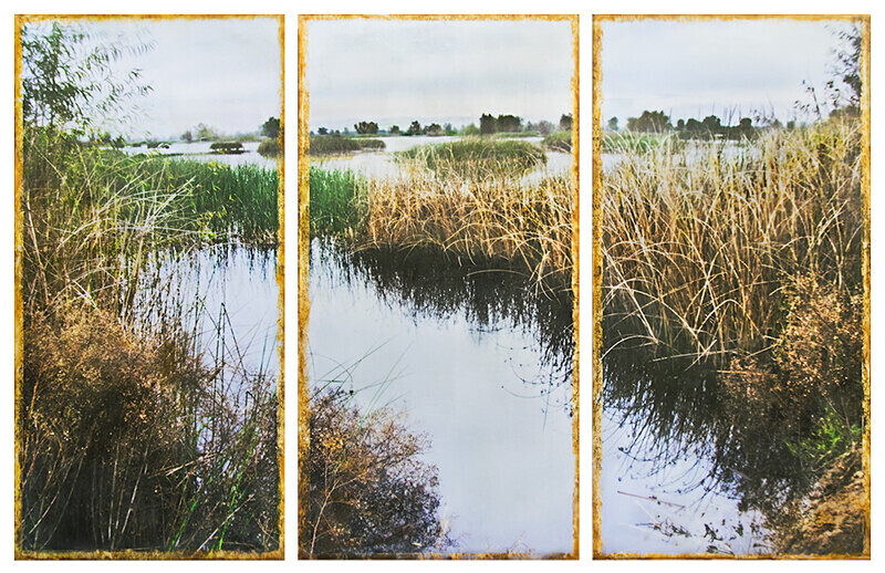 Gray Lodge Wildlife Area - At the Edge of the Water
