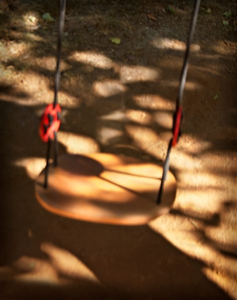 Swing in the Shadows - The Backyard Series