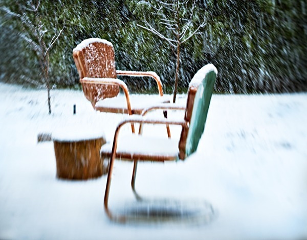 Chairs in Conversation - The Backyard Series