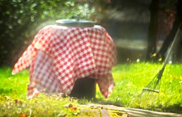 After the Picnic - The Backyard Series