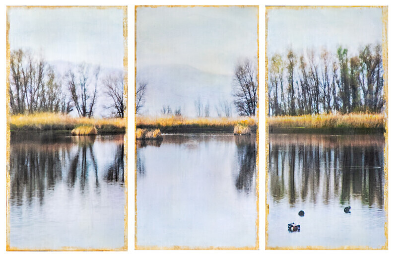 Colusa Wildlife Refuge - At the Edge of the Water