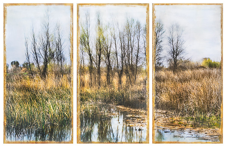 Gray Lodge Wildlife Area - At the Edge of the Water