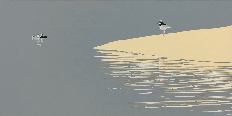 A mexeriqueira e o jacaré / The pied plover and the caiman - Acrílico sobre água / Acrilic on water