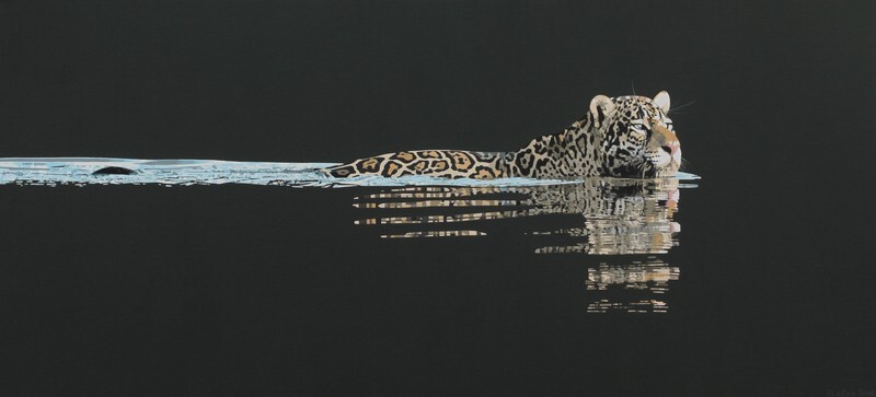 Onça-pintada nadando II / Swimming jaguar II - Acrílico sobre água / Acrilic on water