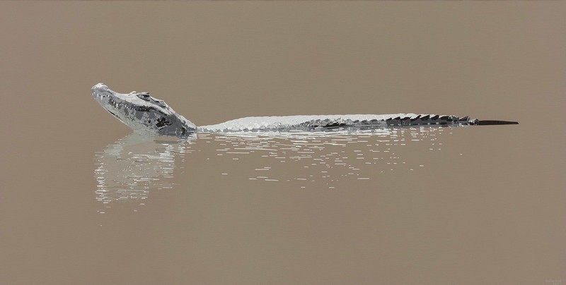 Jacaré-do-Pantanal/ Yacare caiman - Acrílico sobre água / Acrilic on water