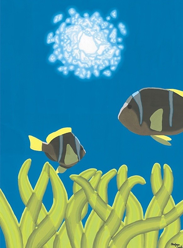 Peixes palhaços / Clownfish - Obras anteriores / Previous works