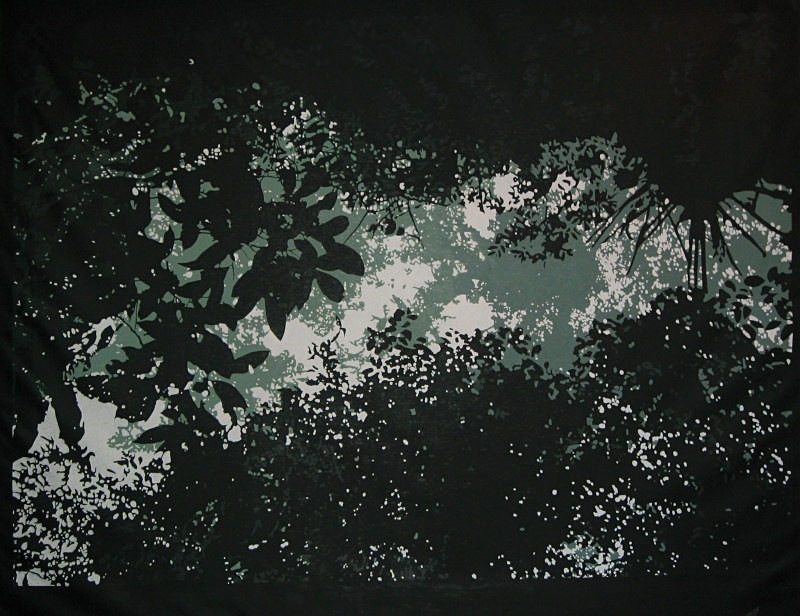 Selva / Jungle canopy - Obras anteriores / Previous works