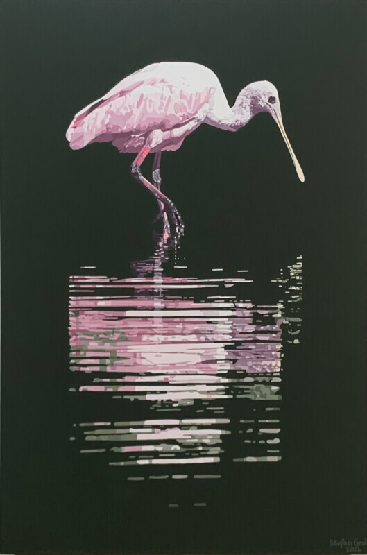 Colhereiro / Roseate Spoonbill - Acrílico sobre água / Acrilic on water