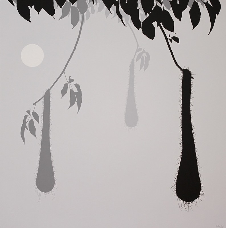 Moradas de japus / Oropendola dwellings - Silhuetas do Pantanal / Silhouettes of the Pantanal