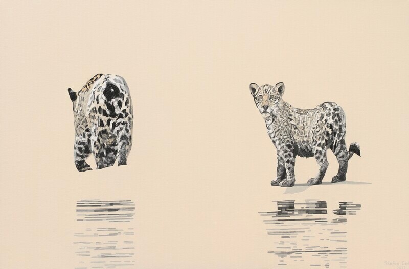 Onça-pintada mãe e filhote / Jaguar mother and cub - Acrílico sobre água / Acrilic on water