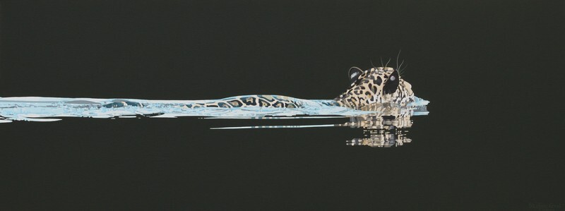 Onça-pintada nadando III / Swimming jaguar III - Acrílico sobre água / Acrilic on water