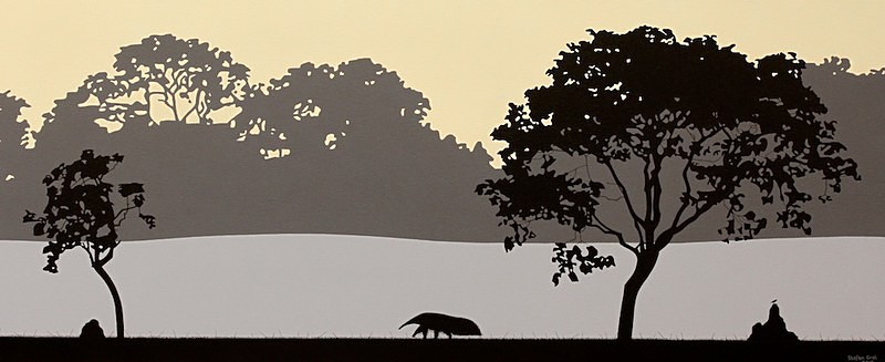 Buscando cupins da manhã / In search of termites - Silhuetas do Pantanal / Silhouettes of the Pantanal